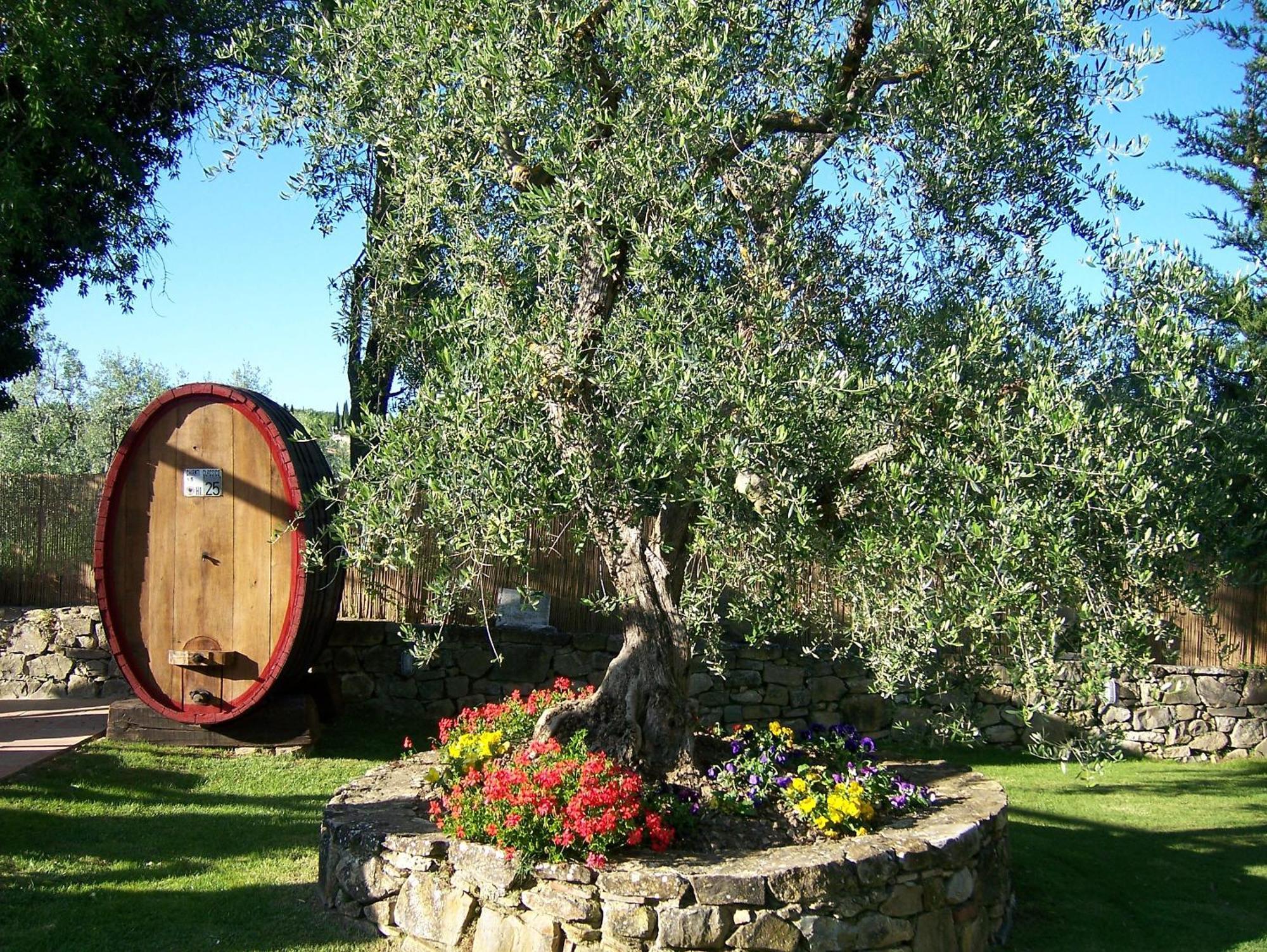 Hotel Belvedere Di San Leonino Castellina in Chianti Exteriér fotografie