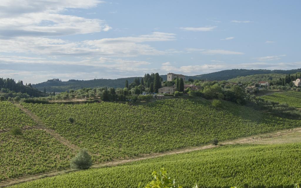 Hotel Belvedere Di San Leonino Castellina in Chianti Exteriér fotografie