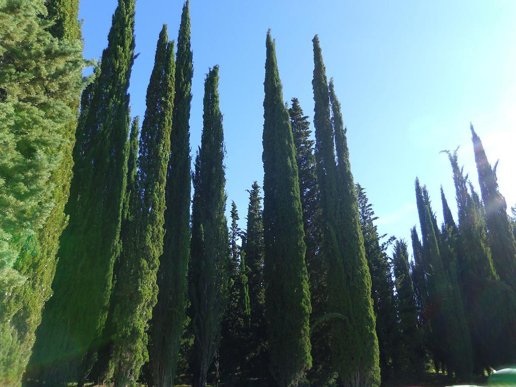 Hotel Belvedere Di San Leonino Castellina in Chianti Exteriér fotografie
